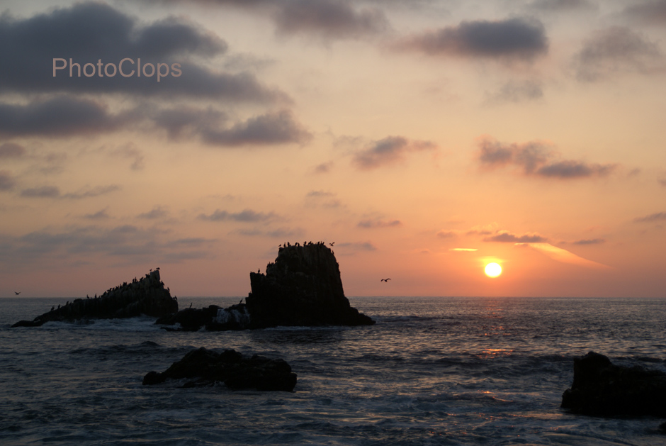 Laguna Beach Sunset